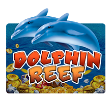 Dolphin Reef