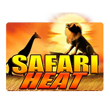 Safari Heat